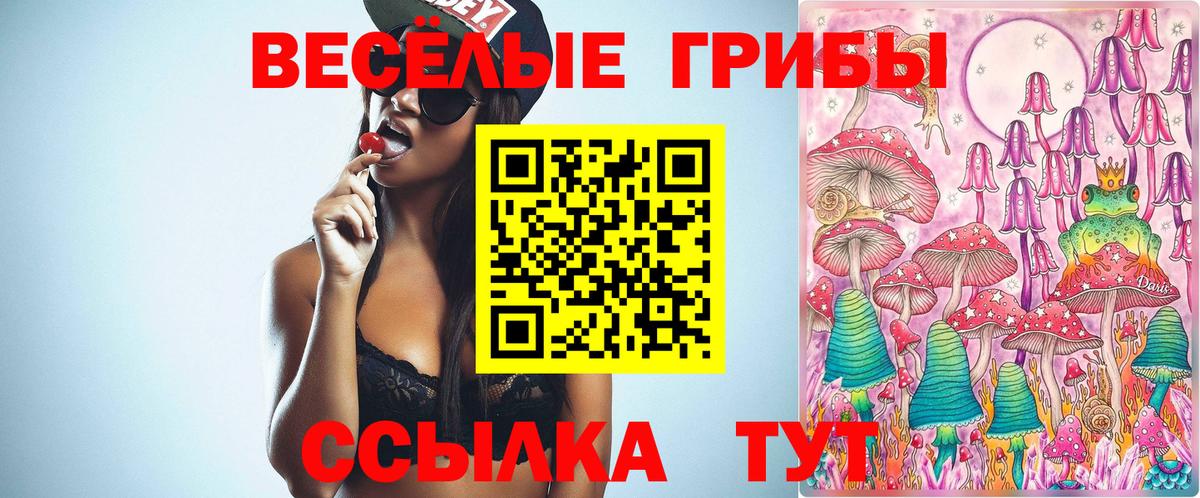 Псилоцибиновые грибы GOLDEN TEACHER  Шуя 